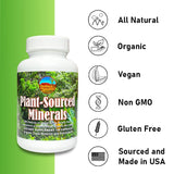 Organic Humic & Fulvic Acid Supplement; High Absorption Trace Minerals from Ancient Plant Source. Promotes Hydration, Electrolyte Balance, Gut Health, Cognitive Function & Immune System 120 Cap