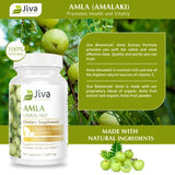 Jiva Botanicals Amla Capsules (Amalaki) - Amla Churna Supplement - Amla Herbal Supplement Made with Organic Amla Fruit Powder- Alternative to Amla Juice - 60 Vegan Capsules