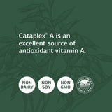 Standard Process Cataplex A - Antioxidant Supplement for Eye Health and Antioxidant Activity with Vitamin A, Magnesium Citrate, Sunflower Lecithin, Oat Flour, Wheat Germ, Ascorbic Acid - 180 Tablets