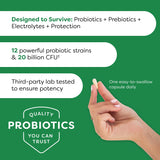 Probulin Colon Support Daily Probiotic + Prebiotic + Support Gut Health, Occasional Gas and Bloating - 20 Billion CFU - 12 Strains, 30 Vegan Capsules