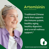 BESTVITE Artemisinin 100mg (120 Vegetarian Capsules) - No Stearates - No Flow Agents