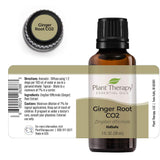 Plant Therapy Ginger Root CO2 Essential Oil 100% Pure, Undiluted, Natural Aromatherapy, Therapeutic Grade 30 mL (1 oz)