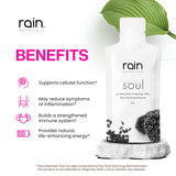 RAIN SOUL Seed-Based, Organic Antioxidant, 2 Boxes (30 pouches each)