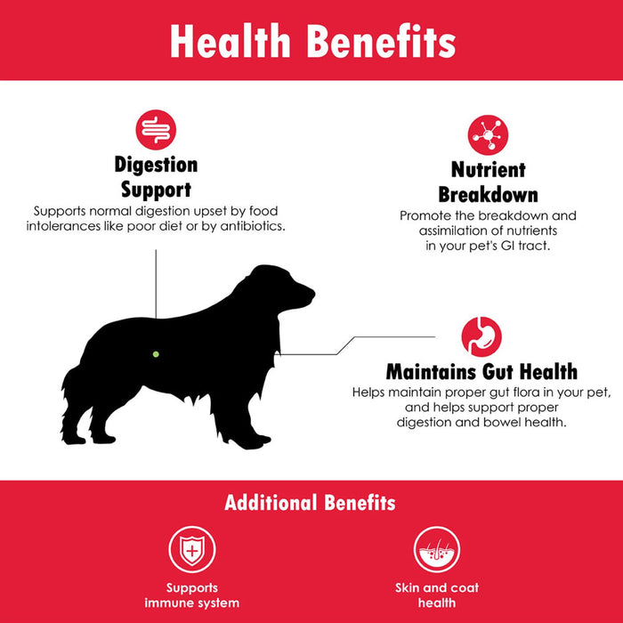 Proflora Probiotics for Dogs-Complete Gut Health & Immune Support. Easy to Use Digestive Multi-Strain Probiotics. Easier Diet Transitions, Healthier Skin & Coat & Helps Treat Diarrhea. 60 Soft Chews