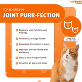 LIQUIDHEALTH 2.3 Oz Liquid Cat Glucosamine Joint Purr-Fection - Hip and Joint Health Relief Support, Chondroitin Feline Droppers -Senior Older Cats, Kittens - (2 Pack)