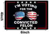 FEUENS 2 Pack I'm Voting for The Convicted Felon Funny Pro Trump 2024 Magnet Decal Car Bumper Window Waterproof Magnets Decoration, Black, SLL-10231