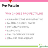 Vetoquinol Pro-Pectalin Oral Paste for Dogs & Cats – 30cc, Chicken Flavor – Helps Reduce Occasional Loose Stool & Diarrhea, Balance Gut pH, Support Normal Digestion & Intestinal Flora