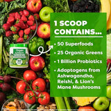 Orgain Supreme Greens Powder with 25 Organic Greens, 50 Superfoods, 1 Billion Probiotics, and Adaptogens, Vegan Greens for Gut Health and Immune Support, 1.5 Servings of Fruit and Veggies, Green Apple