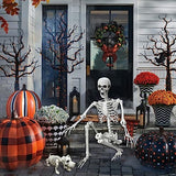 Lodou 5.4Ft Posable Life Size Human Adult Skeletons Plastic Human Bones with Movable Joints for Halloween Decoration