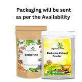 Organic Herbs Berberine Extract Powder 100 Grams