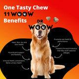 Dr Woow Multivitamins for Dogs - Everyday Vitamins for Dogs | Gut Immune Health, Joint Heart Eye Support | Dog Supplements Glucosamine Chondroitin, Digestion Probiotics, Omega 3 Fish Oil | 90 Ct