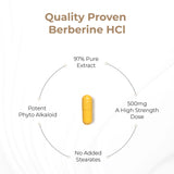 Sandhu's Berberine HCL Supplement 500mg per capsule with 97% Pure Berberis Aristata Extract| 60 count| Supports Weight Management & Healthy Energy levels| Made in USA, Vegetarian, Non-GMO, Gluten Free