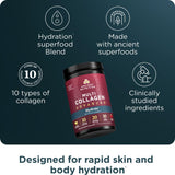 Ancient Nutrition Advanced Multi Collagen Protein Powder Hydrate, Mixed Berry, 30 Servings