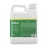 Grass Paint Concentrate (500-1,000 sq ft) - for Dormant, Patchy or Faded Lawn - Lush Green Turf Colorant (32 fl oz)