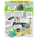 NATURAL SHILAJIT Resin - Shilajit for Men & Women with Fulvic Acid & Trace Minerals, Plant Based Nutrients for Energy, Immune Support & Vitality Resin - 20 Gram