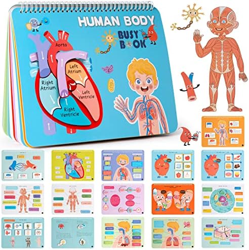 Freebear Montessori Busy Book for Kids, Human Body Anatomy Book for Toddlers, Preshool Kindergarten Learning Activities, Autism Sensory Toys, Gifts for Girls and Boys 4 5 6 7 Years - Human Body System