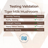 Nootropics Depot Tiger Milk Mushroom Capsules | 300mg | 60 Count | Lignosus rhinocerus Sclerotium | Cognition, Histamine, & Respiratory Support