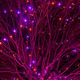 DAZZLE BRIGHT Halloween 300 LED String Lights, 100FT String Lights with 8 Lighting Modes, Halloween Decorations for Party Carnival Supplies, Outdoor Yard Garden Decor (Purple & Orange)