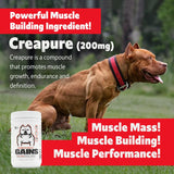 Muscle Bully Gains - Mass Weight Gainer for Dogs, Whey Protein, Flax Seed (for Bull Breeds, Pit Bulls, Bullies) Increase Healthy Natural Weight, Made in The USA (90 Servings)