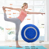 Wolady Vibrating Massage Ball 4-Speed High-Intensity Fitness Yoga Massage Roller, Relieving Muscle Tension Pain & Pressure Massaging Balls (Blue)