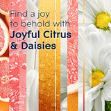 Glade Candle Joyful Citrus & Daisies, Fragrance Candle Infused with Essential Oils, Air Freshener Candle, 3-Wick Candle, 6.8 Oz, 3 Count