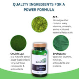 Bioxtron AFA Stem Cell Supplement Chewable Tablets - Joint Support & Muscle Pain - Immune System Support - Support Energy Levels - Natural Blue Green Algae Spirulina - 60 Tablets