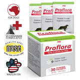 Proflora Probiotics for Dogs-Complete Gut Health & Immune Support. Easy to Use Digestive Multi-Strain Probiotics. Easier Diet Transitions, Healthier Skin & Coat & Helps Treat Diarrhea. 30 Packets.