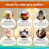 Irish Sea Moss Gel Organic Raw - Apple Cinnamon Flavor, Vitamin and Mineral-Rich - 10 oz.