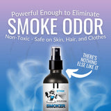 Smokers Odor Eliminating Spray - Completely Removes Smoke Odors, Proven Formula Using OAM Technology for Long-Lasting Odor Removal - New Sky Blue Scent - 16 Fl Oz (Pack of 2)