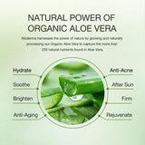 Aloderma 99% Organic Aloe Vera Gel Made within 12 Hours of Harvest - Pump Bottle - Lightweight Aloe Gel for Face and Body, Soothing and Hydrating Sunburn Relief, Great for Scalp & Hair, 3btls x 10.6oz