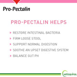 Vetoquinol Pro-Pectalin Chewable Tablets for Dogs & Cats – 250ct, Beef Liver Flavor – Helps Reduce Occasional Loose Stool & Diarrhea, Balance Gut pH, Support Normal Digestion & Intestinal Flora