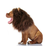 Onmygogo Lion Mane Wig for Dogs with Ears, Funny Pet Costumes for Halloween Christmas (Size M, Coffee)