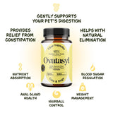 Generic Vegan Fiber Capsules for Dogs and Cats Digestive Supplement, Ovatasyl 500 mg Psyllium Seed Husks, Constipation, Hairballs, Pet Essentials & Wellbeing, 100 Vegan Capsules