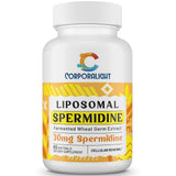 30mg Spermidine Supplement, Liposomal Spermidine, High Absorption, More Potent Than Spermidine 3HCL, Fermented Wheat Germ Extract, Spermidine for Women & Men, Cellular Renewal, Longevity, 60 Softgels