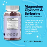 Earth Bare Berberine Supplement | High Potency Berberine with Ceylon Cinnamon Gummies | 1500mg Berberine Gummies with Magnesium Glycinate and Vitamin B12 | 60 Gummies