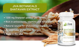 Jiva Botanicals - Organic Shatavari Capsules 1200 Mg - Shatavari Root Powder Extract Supplement - Support Normal Hormonal Balance for Women - Made with Asparagus Racemosus Roots Herb - 60 Capsules