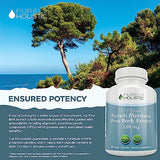 Purely Holistic Pine Bark Extract 350mg 180 Vegan Capsules 95% Proanthocyanidins - French Maritime Pine Bark Extract - Non GMO & Pesticide Free Antioxidant Supplement