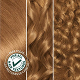Garnier Hair Color Nutrisse Nourishing Creme, 73 Dark Golden Blonde (Honey Dip) Permanent Hair Dye, 2 Count (Packaging May Vary)