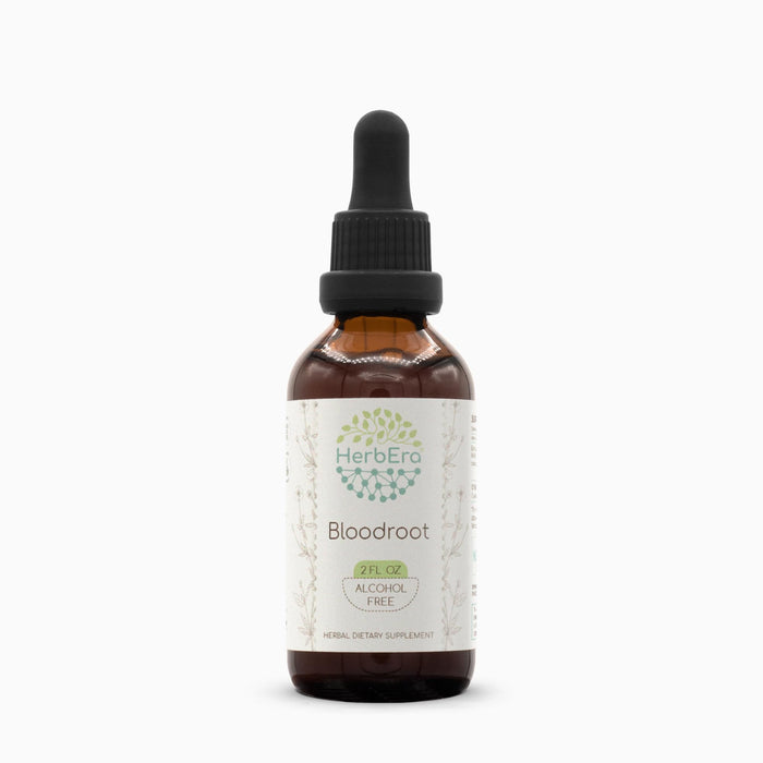 HerbEra Bloodroot Tincture B60 Alcohol-Free Extract, Super-Concentrated Responsibly farmed Bloodroot (Sanguinaria Canadensis) Dried Root (2 Fl Oz)
