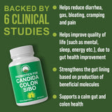 Probiotics for Candida, Colon Cleanse, IBS, and SIBO Support. Doctor Recommended Proprietary Microbiome Reset Probiotic Supplement. Gut Health and Overgrowth Treatment Capsules for Women & Men