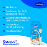 Cosmos blister plaster: The special plaster promotes the healing of blisters on feet, toes and fingers, mix of 3 sizes, 6 pieces