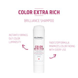 Goldwell Dualsenses Color Extra Rich Brilliance Shampoo, 10.1 Fl Oz (Pack of 1)