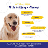 PupGrade Itch & Allergy Chew Supplement for Dogs Improved Immune Support & Seasonal Allergies with Alaskan Salmon Fish Oil - Helps with Anti-Itch - 60 Soft Chews