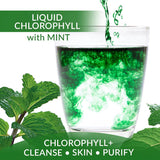 Eniva Health Liquid Chlorophyll Super Greens | 24K MG with Prebiotic & L-Glutamine | Mint Flavor | Skin, Immunity, Energy, Detox, Gut Health | Vegan, Gluten & Alcohol-Free | 48 Servings | USA Made