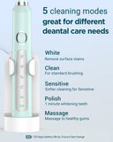 Sonic Electric Toothbrush for Adults - Rechargeable Electric Toothbrushes with 8 Heads & Travel Case,Teeth Whitening , Power Electric Toothbrush with Holder, 3 Hours Charge for 120 Days - Light Green