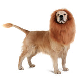 TOMSENN Realistic & Funny Lion Mane for Dogs - Complementary Lion Mane for Dog Costumes for Medium to Large Sized Dogs