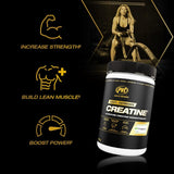 PVL Creapure Creatine - 100% Pure German Creatine monohydrate Powder - 48 Servings - 240 g