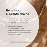 Neurogan L-Ergothioneine Liquid Supplement - 700 MG 60 Servings (1 OZ) - Antioxidant Support, Healthy Aging & Brain Fuel* - Made in USA