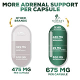 Adrenal Support Supplements & Cortisol Manager with Ashwagandha and 10 Herbs & Nutrients to Support Adrenal Function, Cortisol Health, Energy Levels, Stress & Relaxation Support & Sleep - 120 Capsules