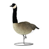 FLEXFLITE DECOYS Goose 4 Pack, Flexible Neck, Unlimited Head Positions, Feather Tracking Paint, Removable Flocked Neck Sleeve, Machine Washable